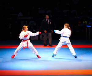 3rd International karate open DUBAI 2014